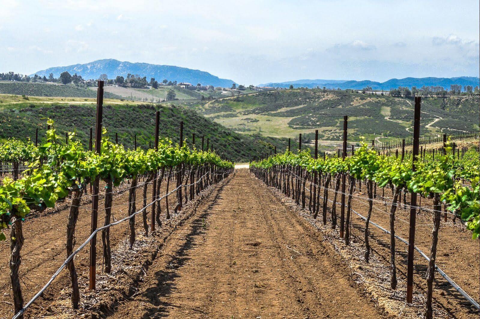 Carter Estate Winery And Resort Temecula Exterior photo